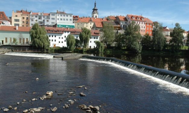 Kouzelná zvířátka v Centru Kultury