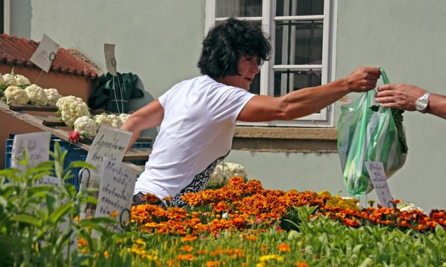 Plzeňské farmářské trhy 2017