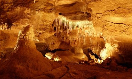 Baterkové pondělky v Koněpruských jeskyních – srpen