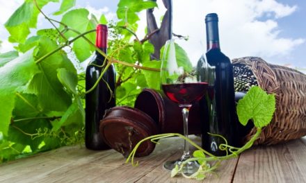 Vinohradské vinobraní 2022