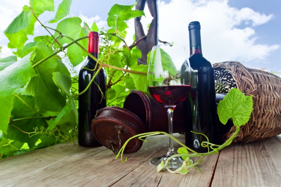 Vinohradské vinobraní 2022