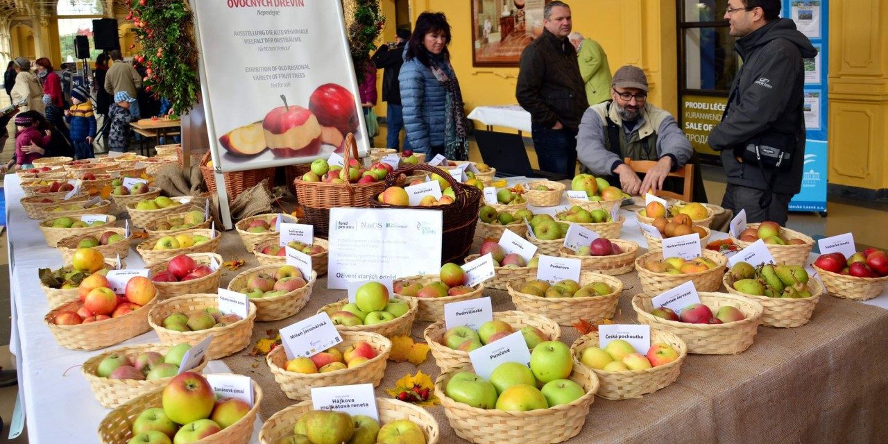Lázeňský festival jablek v Mariánských Lázních