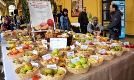 Lázeňský festival jablek v Mariánských Lázních