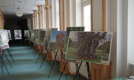 Výstava fotografií nejmohutnějších památných stromů České republiky