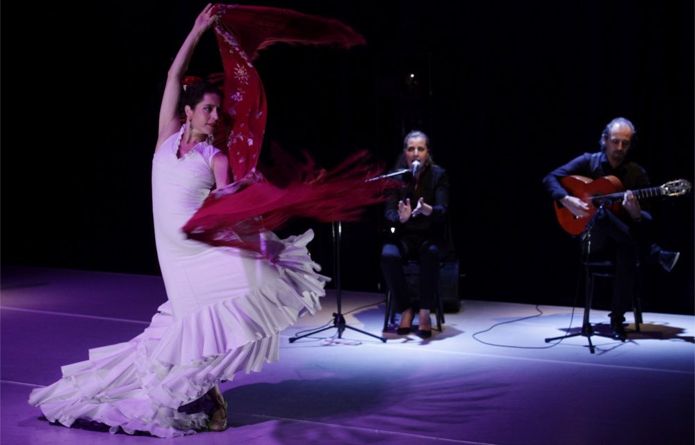 Mezinárodní den flamenca v Praze