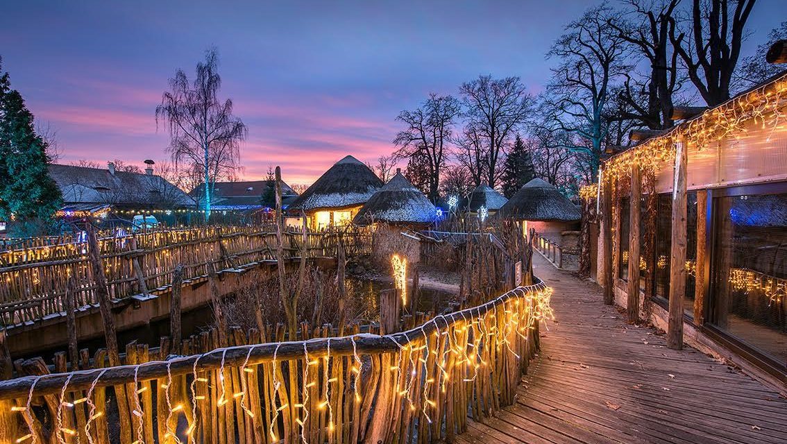 Vánočně nasvícená zoo Hluboká – prodlouženo až do 7. ledna!