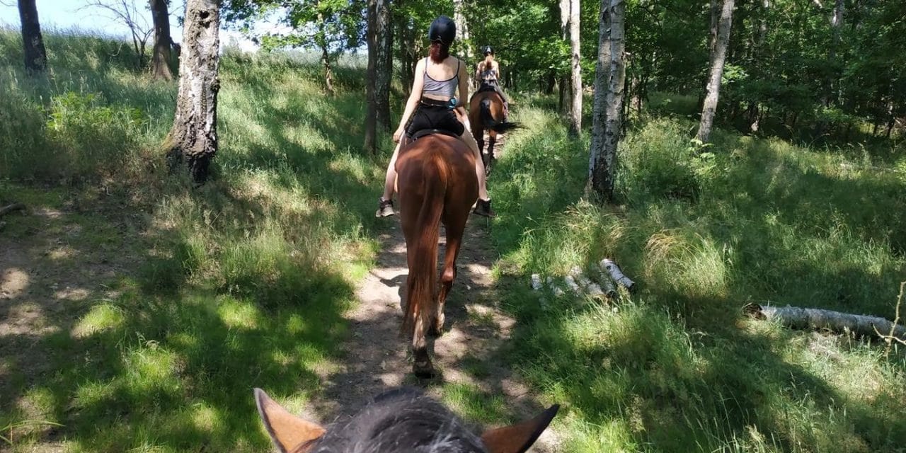 Léto s koňmi na farmě Kozodoj