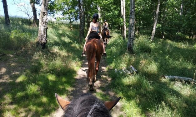 Léto s koňmi na farmě Kozodoj