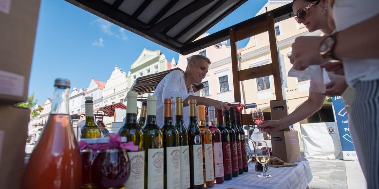 Košt českých vín v Třeboni