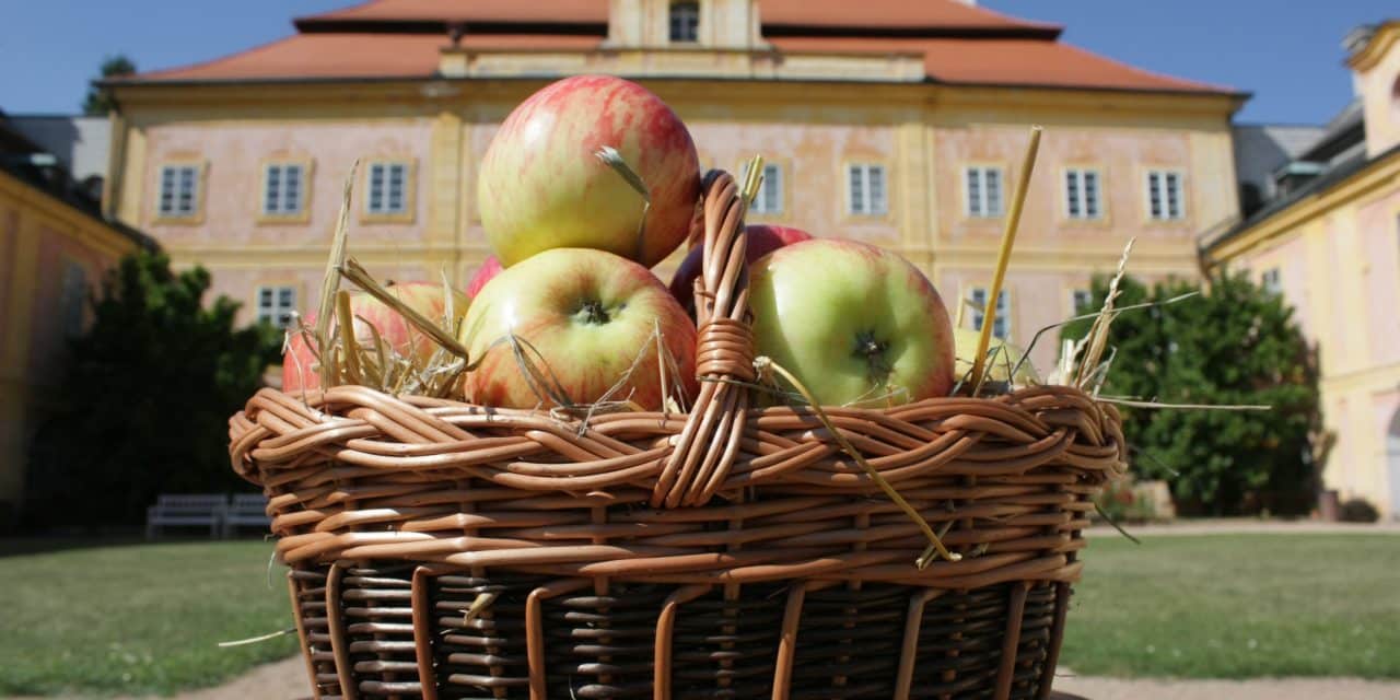 Jablečný den na Krásném Dvoře