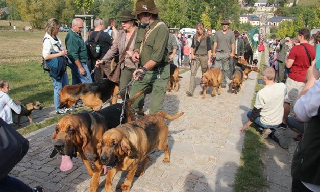 Svatohubertské slavnosti na Kuksu