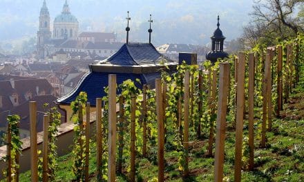 Svatý Martin na Vinici – Wine & Food Festival