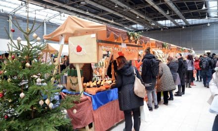 Vánoční trhy na brněnském výstavišti
