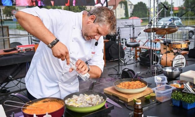 Meruňkobraní aneb festival meruněk v Židlochovicích