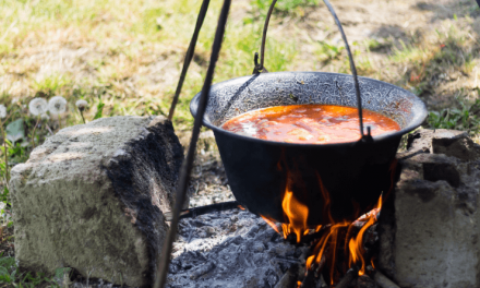 Gulášfest Novosedly 2023 – soutěž ve vaření kotlíkového guláše