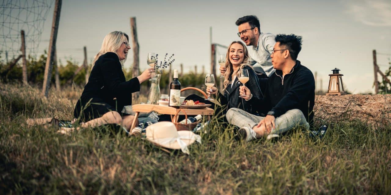 Nedělní piknik ve vinici
