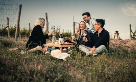 Nedělní piknik ve vinici