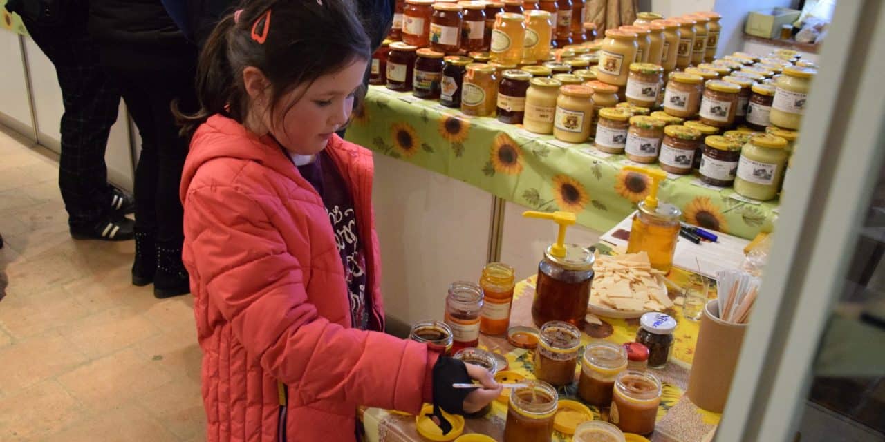Vůně medu – výstava v Horáckém muzeu