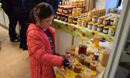 Vůně medu – výstava v Horáckém muzeu