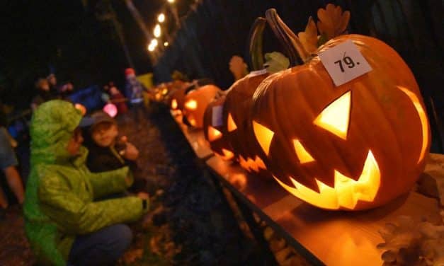 Strašidelná Zoo v Chomutově – večer plný svíček a halloweenských dýní