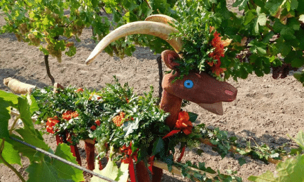 Odemykání naučné stezky Hroznové kozy s koštem vrboveckých vín
