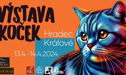 Mezinárodní výstava koček v Hradci Králové
