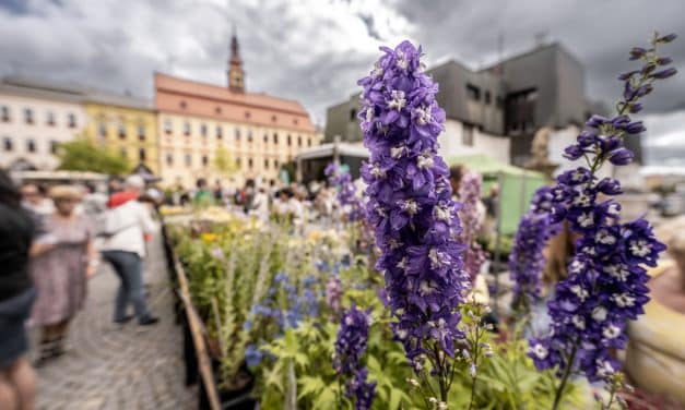 Dožínky a Den otevřených dveří památek v Jihlavě