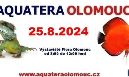 Aquatera Olomouc