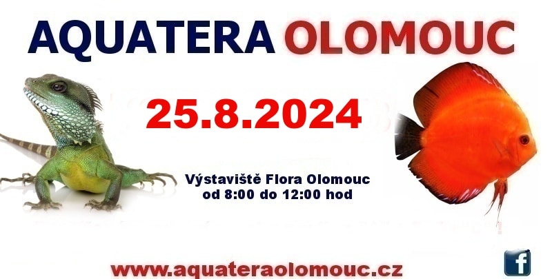 Aquatera Olomouc