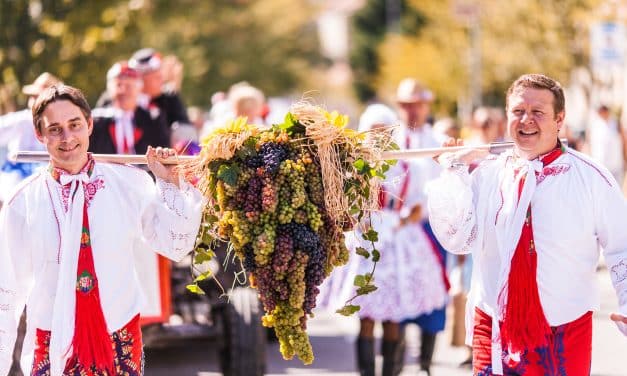 Pálavské vinobraní 2024