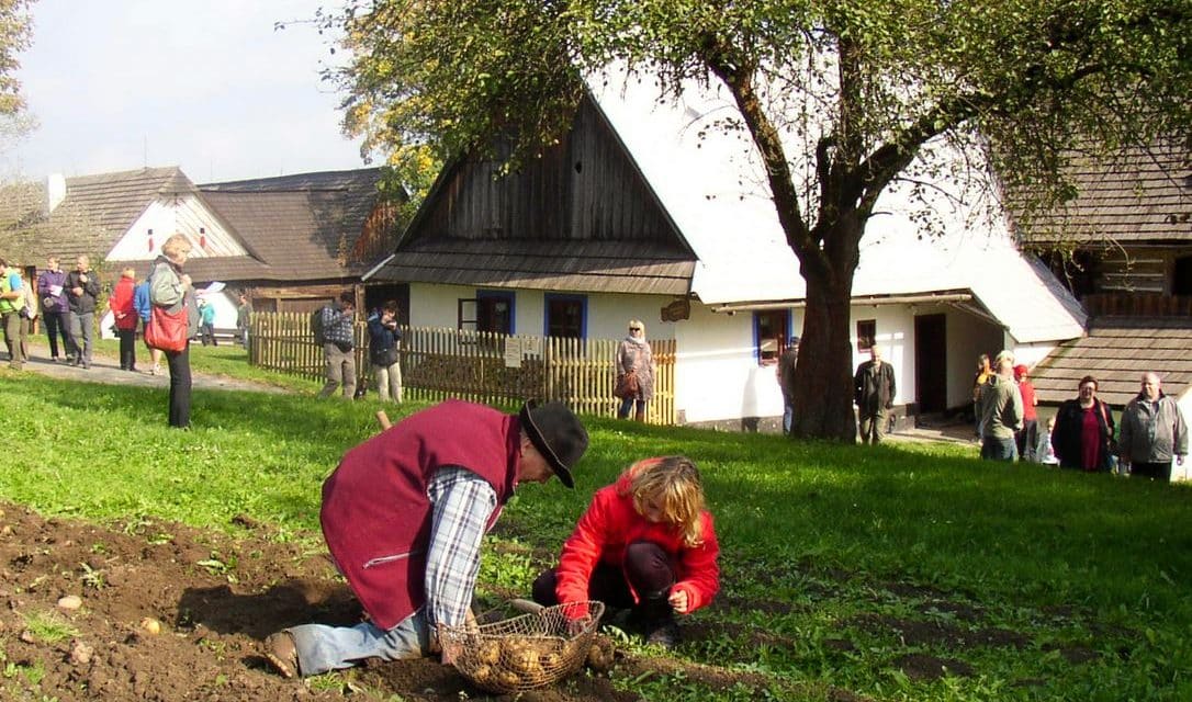 Bramborová sobota na Veselém Kopci