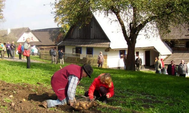 Bramborová sobota na Veselém Kopci