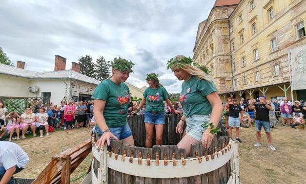 Burčákfest Znojmo