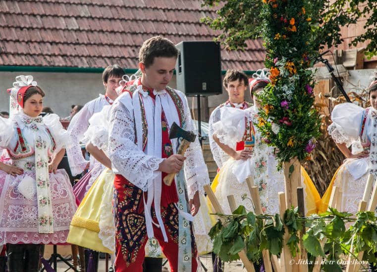 Tradiční krojované vinobraní pod Nechory 2024