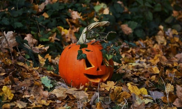 Halloween v Zoo Brno