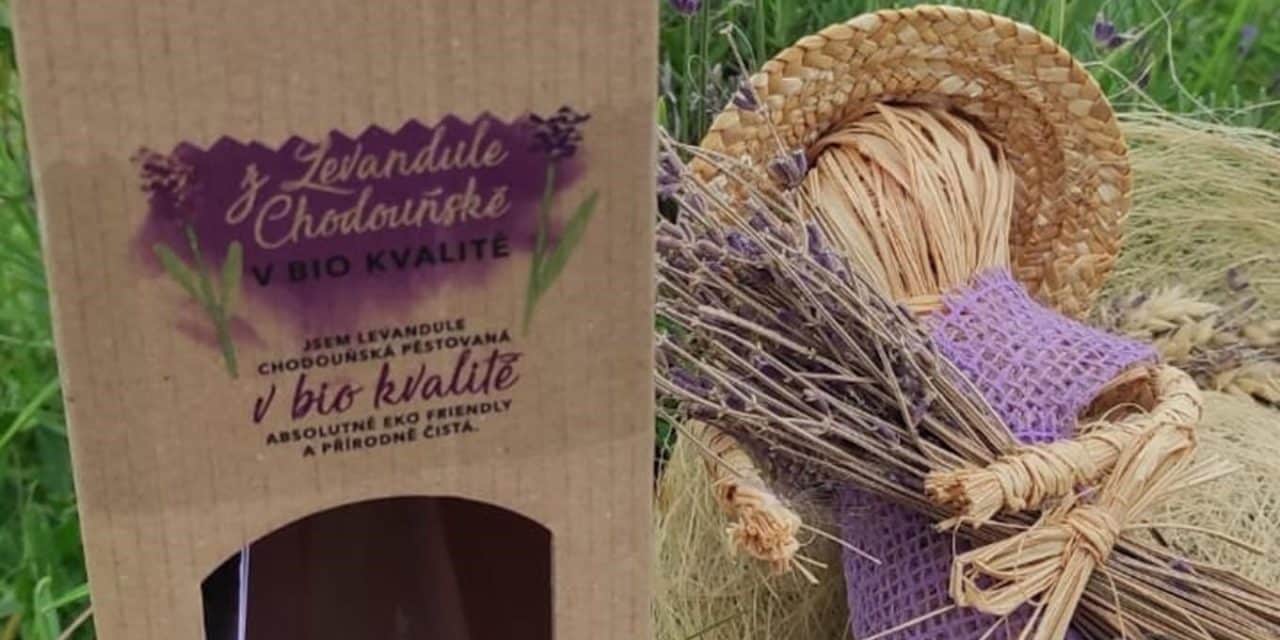 Vinobraní a trnky, blumy a šípky v Levandulovém údolí