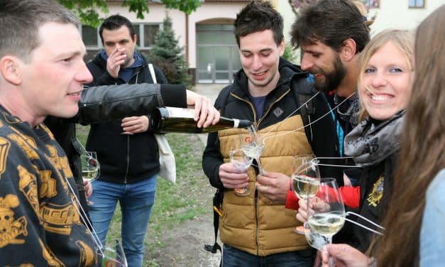 Festival otevřených sklepů – Podzim na Podluží