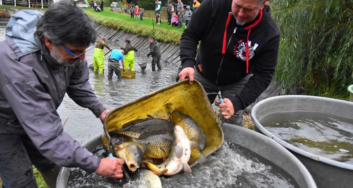 Rybářské slavnosti v Kácově