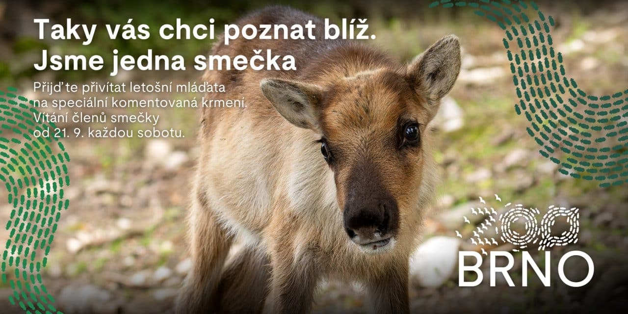 Vítání do smečky v ZOO Brno