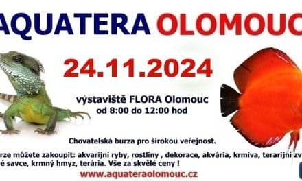 Aquatera Olomouc