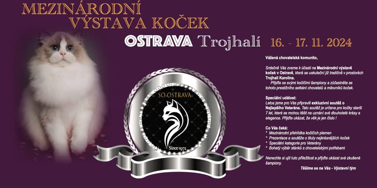 Mezidnárodní výstava koček Ostrava