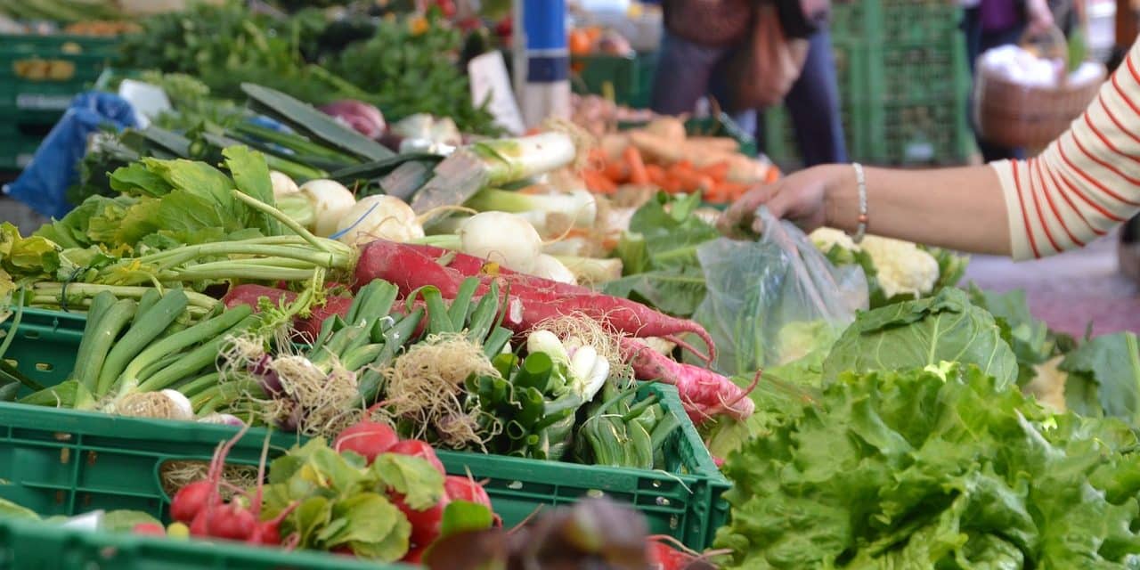 Karlín Market – karlínské farmářské trhy