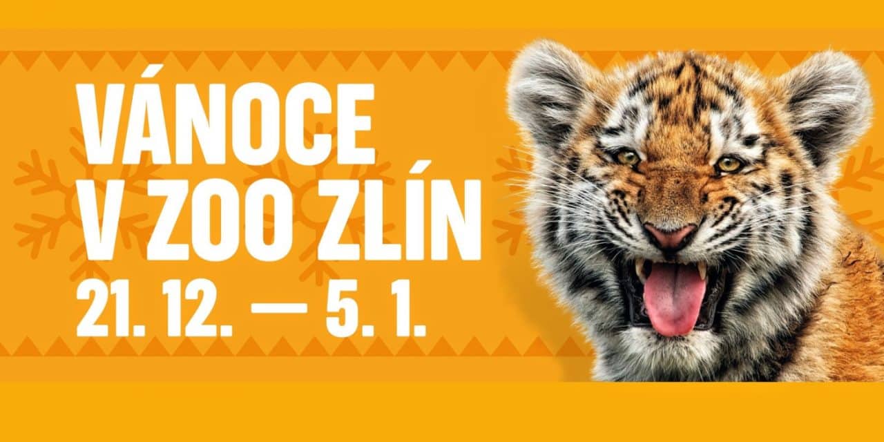 Vánoční Zoo Zlín 2024